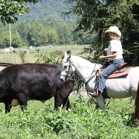 French Broad Outpost Ranch Del Rio Ngoại thất bức ảnh