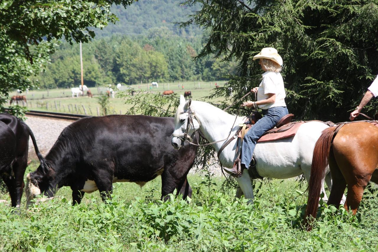 French Broad Outpost Ranch Del Rio Ngoại thất bức ảnh