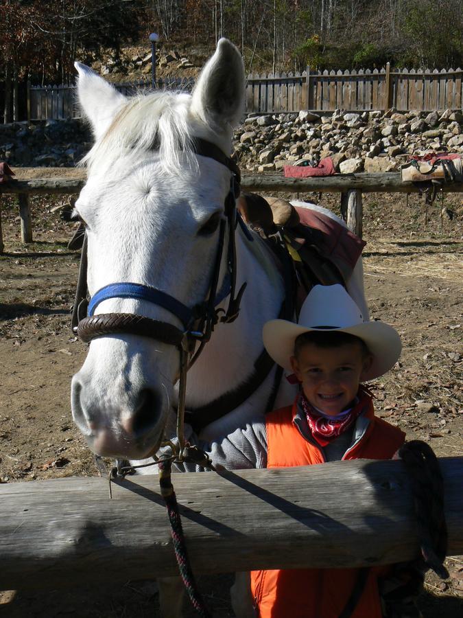 French Broad Outpost Ranch Del Rio Ngoại thất bức ảnh
